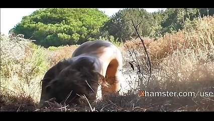 Hardcore porno