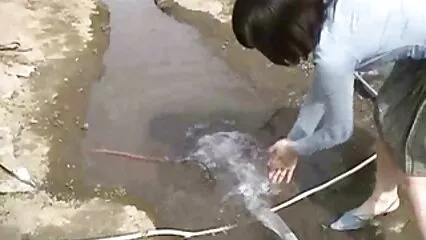 follando profundamente en xxxx maduras la boca del gato