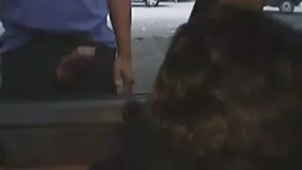 Un madura gritona chico con su novia decidió besarse, relajarse